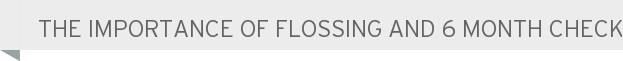 The importance of flossing and 6 month check ups